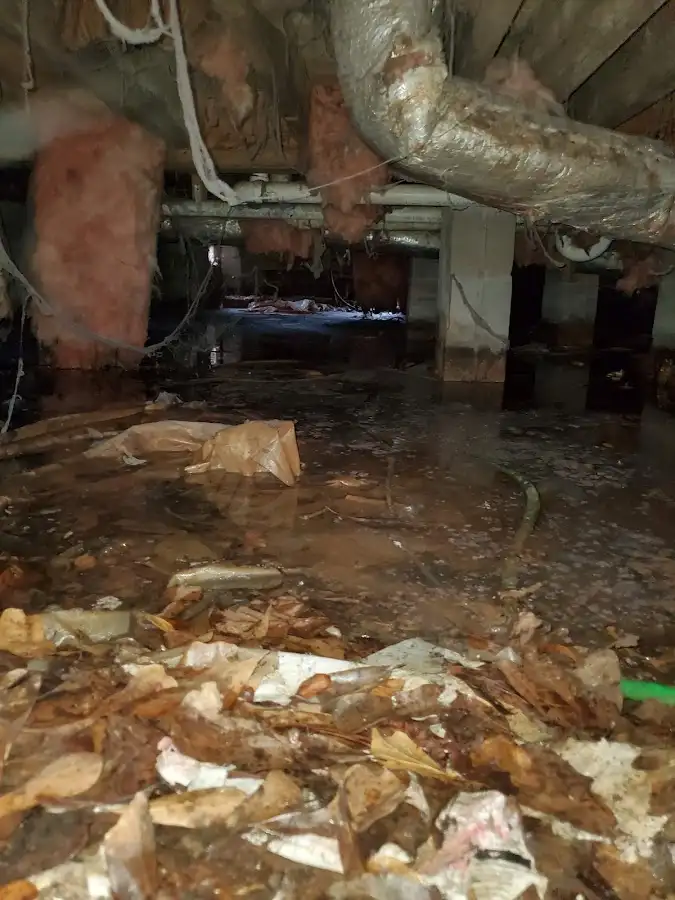 Crawl space flood assessment for Commercial Water Damage Restoration in Salida del Sol Estates